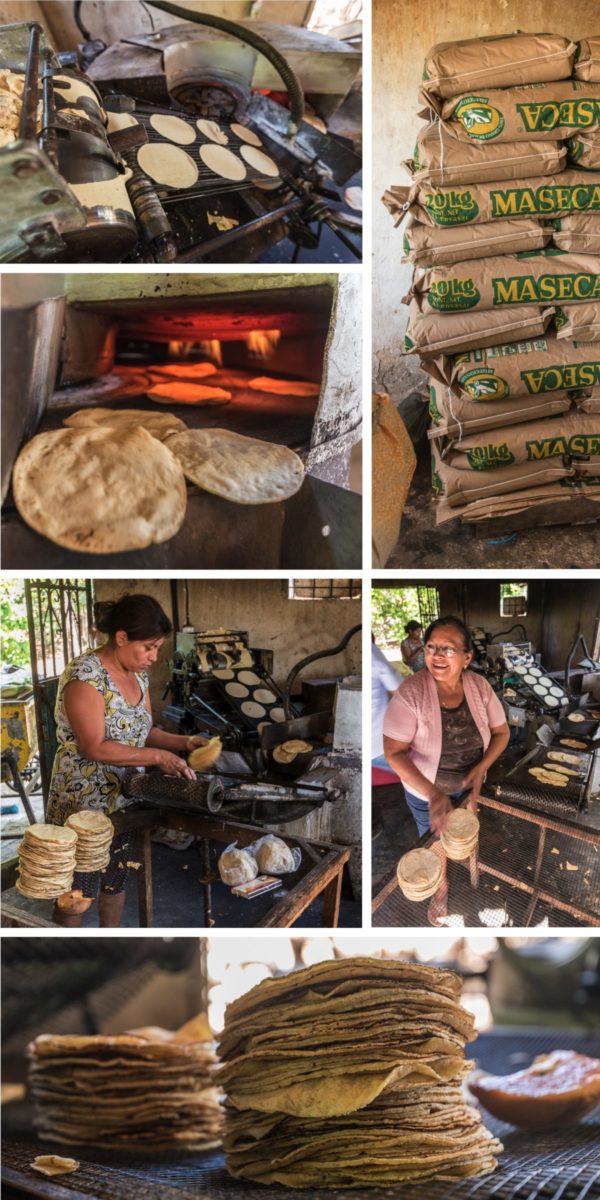 Collage mit Bildern aus einer Tortilla Produktion in Mexiko