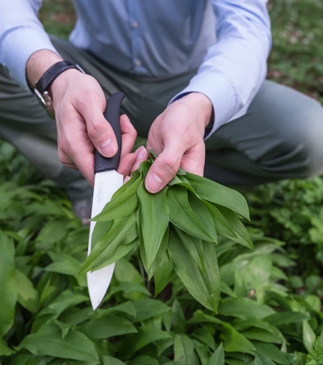 Pinne das Foto, um meine Rezepte mit Bärlauch zu speichern! Selbstgemachtes Bärlauchpesto - Bärlauch sammeln im Wald und den Frühling einfangen