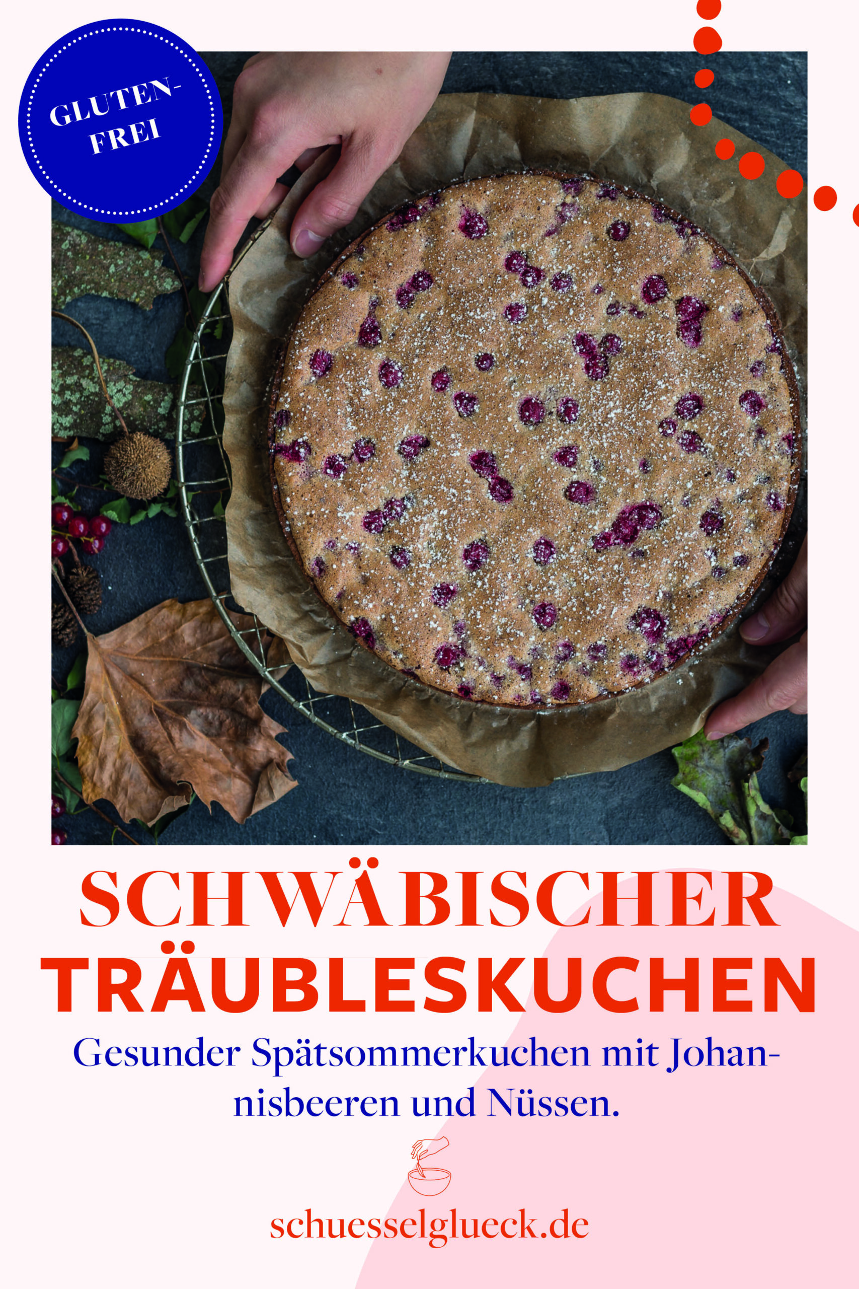 Glutenfreier schwäbischer Träubleskuchen – mein liebster Spätsommerkuchen
