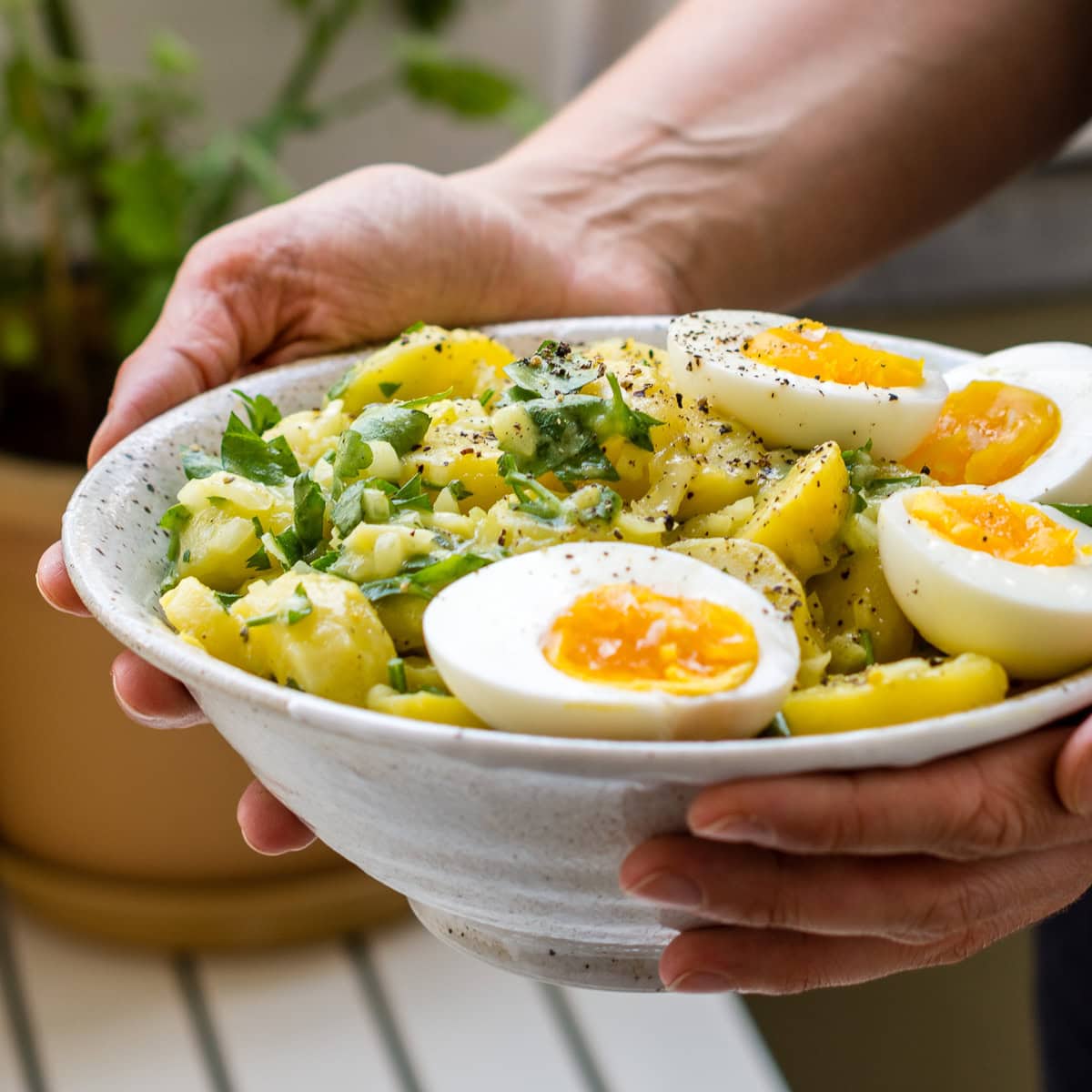 Kartoffelsalat mit Eierhälften und Petersilie in Schüssel