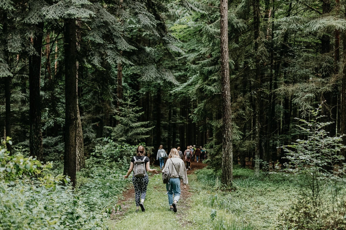 Waldbaden. Appetit auf Natur: Warum sich Naturauszeiten im Alltag lohnen inkl. Tipps zum umsetzen!