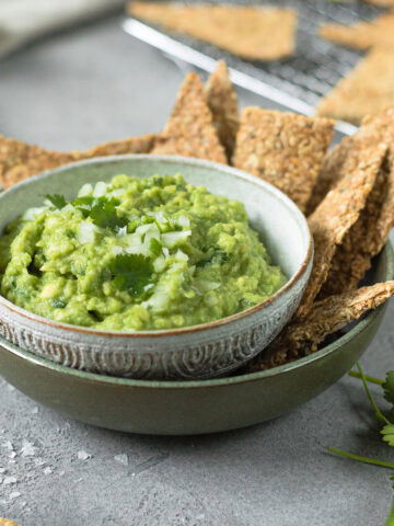 Schüssel gefüllt mit frischer Guacamole wie aus Mexico und salzigen Crackern