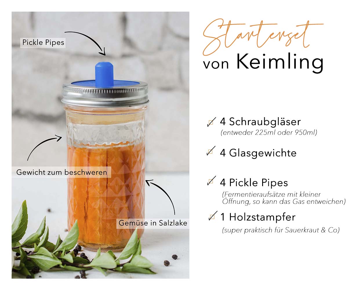 Pinne das Foto, um Dir die zwei Einsteiger Rezepte für Fermentation zu speichern! Schraubglas mit Fermentationsaufsatz und eingelegten Karotten vor Steinwand