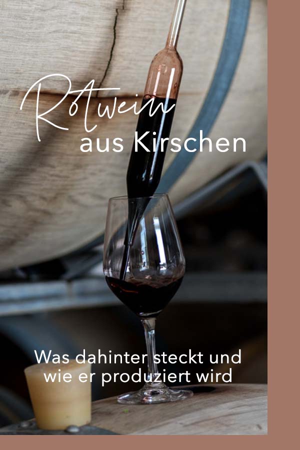 Rotwein aus Kirschen?! Ein Besuch bei Frederiksdal Kirsebaervin.