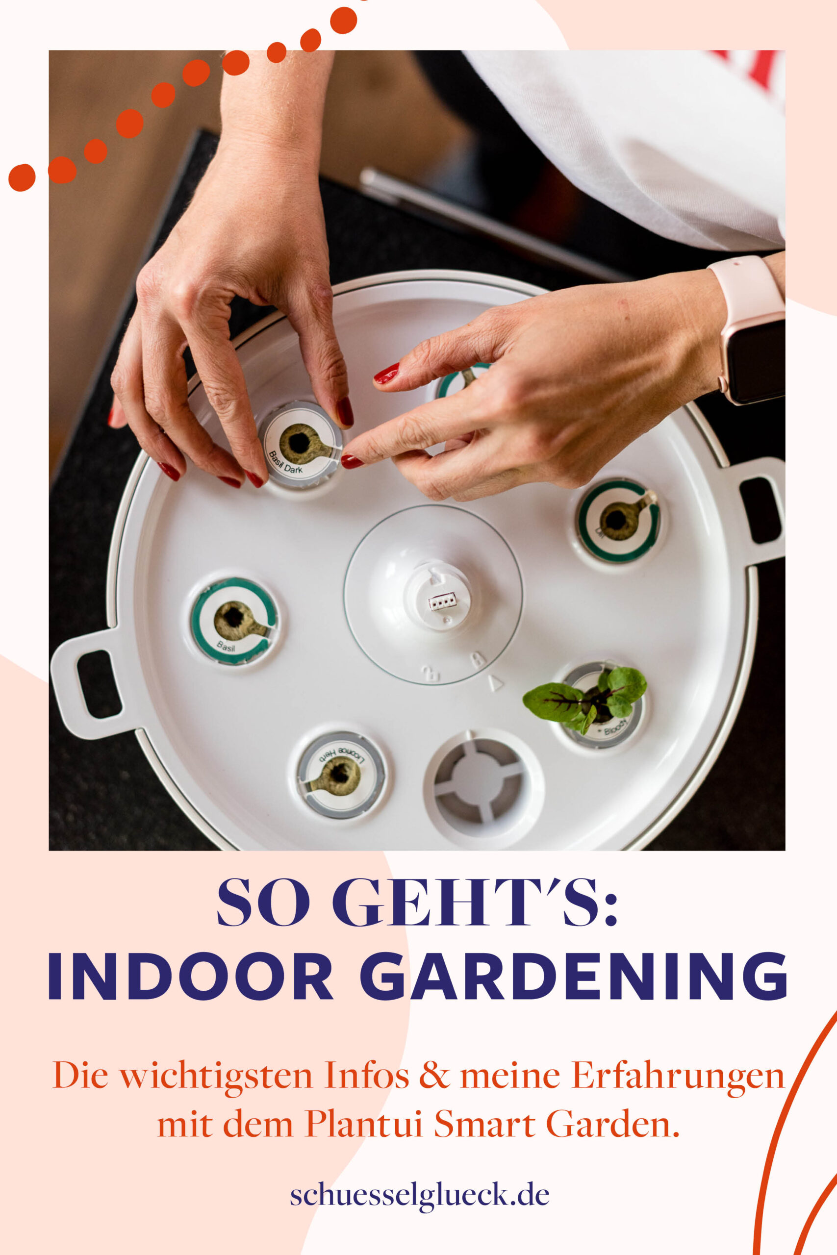 Indoor-Kräutergarten für Zuhause: Meine Erfahrungen mit dem Plantui Smart Garden