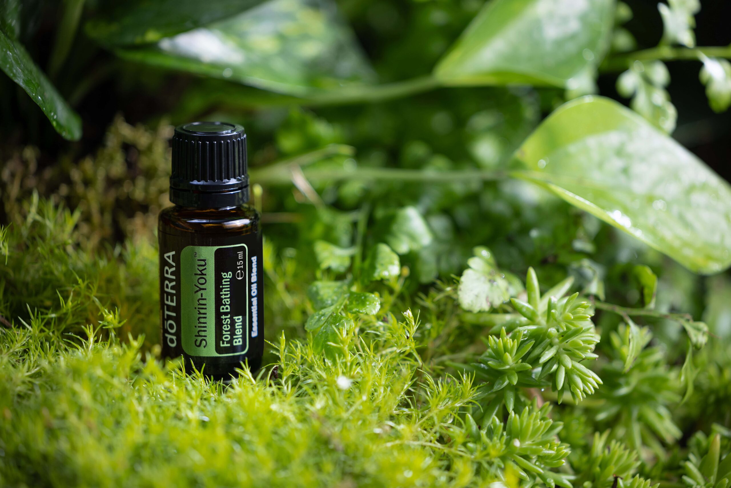 Ätherische Ölmischung von dōTERRA mit Waldbaden-Thema